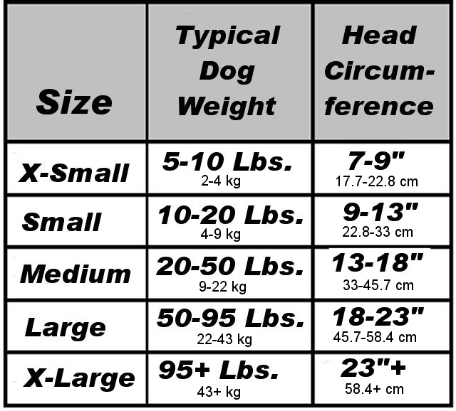 What Size 