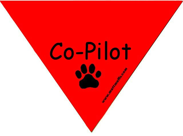 "Co-Pilot" Bandana