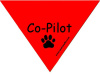 "Co-Pilot" Bandana