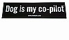 "Dog is My Co-Pilot" Bumpersticker