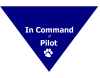 "In Command of Pilot" Bandana